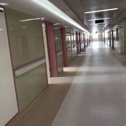 天津智領 以新型建材鑄造綠色未來